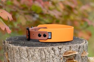 Obroża Biothane® Greyhound Pumpkin