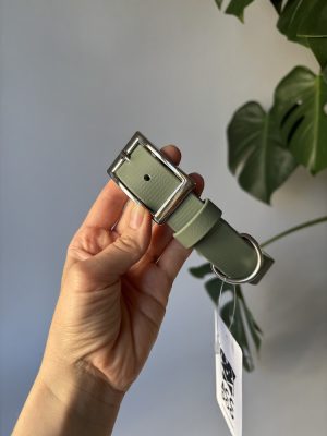 Obroża dla psa Foggy Green XXS | 16 mm | 17-25 cm