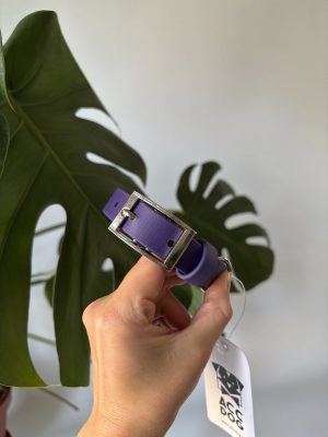 Obroża Biothane® Violet XS | 19 mm | 25-35 cm