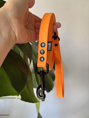 Smycz miejska Orange | 250 cm | 19 mm | karabinek sprężynowy duży czarny