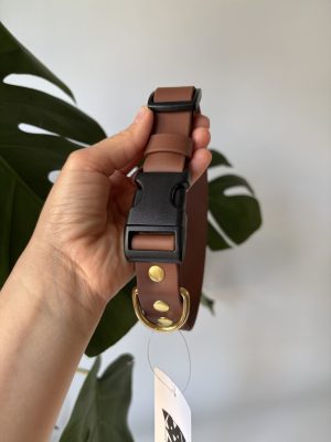 Obroża dla psa Duraflex Chocolate M | 25 mm | 38-46 cm | Mosiądz
